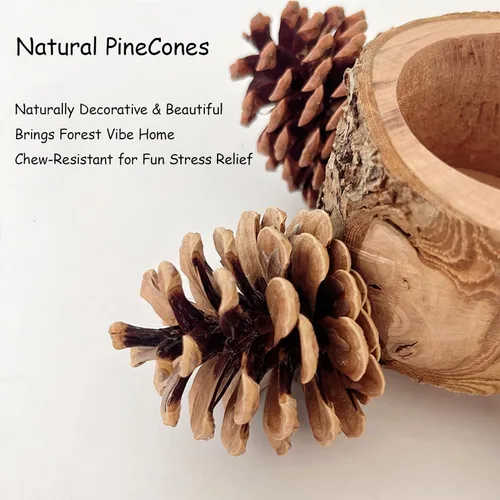 Vista 3 de Perca para pájaros con comedero para jaula y juguetes masticables, piñas, accesorios para jaula de pájaros 100% naturales y duraderos para cacatúas
