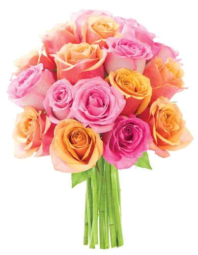 Vista 8 de KaBloom Entrega de primera temporada: elegante ramo en cascada de 4 rosas rosas, 4 rosas amarillas, 4 rosas blancas. Regalo para cumpleaños