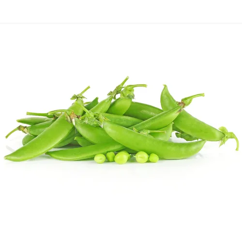 Vista 3 de Park Seed Champion of England' Heirloom Pea Seeds, paquete de 50 semillas