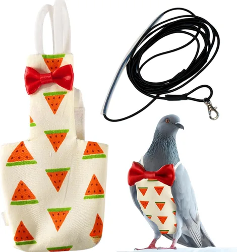 Arnés y correa para pájaros y palomas, pañales para pájaros para palomas y arnés de correa, pañales para pájaros cacatúa, loro, periquito,