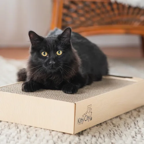 Vista 4 de Chew King Juguete Premium para Perros con Premio, Mediano, Extremadamente Duradero, Colección de Juguetes Rellenables de Goma Natural, Alimentación