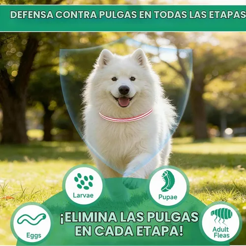 Vista 4 de Prevención de pulgas y garrapatas para perros, 4 collares antipulgas, 32