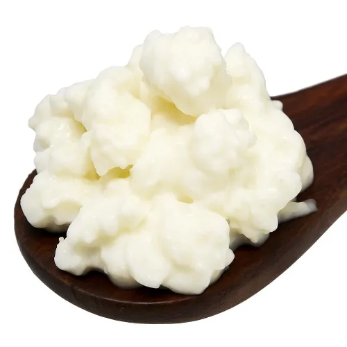Granos de kéfir de leche, frescos vivos, cultivos de kéfir, 50 mil millones de probióticos activos, para fermentos caseros amigables, guía incluida