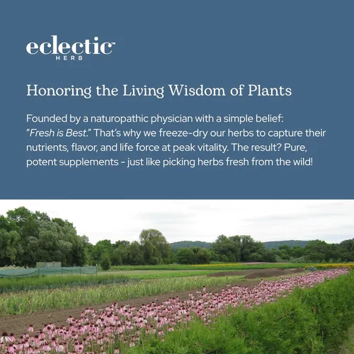 Vista 8 de Eclectic Institute Vitabiotic Immune Nuevo en cápsulas, 150 cápsulas vegetales sin OMG