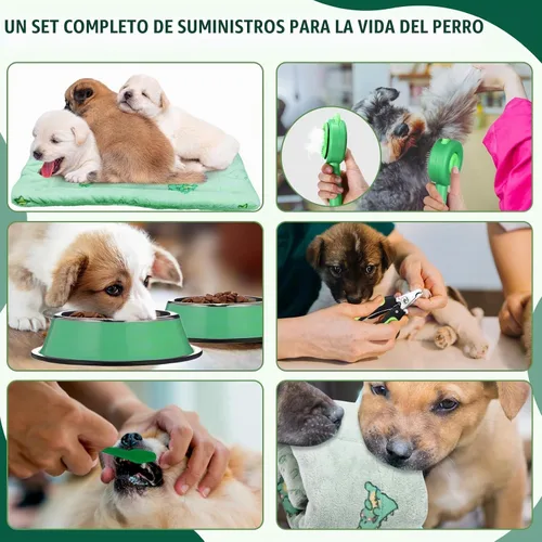 Vista 4 de Abbylike Kit de inicio de 50 piezas de suministros para cachorros para perros pequeños, incluye correa, cuencos, cepillos de dientes, botella