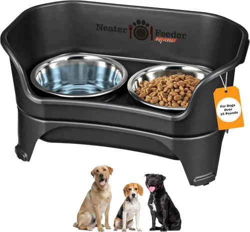 Vista 24 de Neater Feeder Express - Cuencos para perros a prueba de desorden, elevados para razas pequeñas de menos de 15 libras, fabricados en EE. UU., Soporte