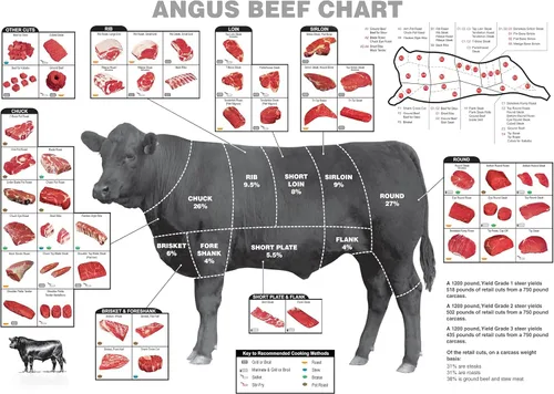 Decor Print Store Póster laminado: 24x30 Angus Beef Cuts Carnicero Charts How To Cook Photo Picture Artwork Art Print Wall Hanging