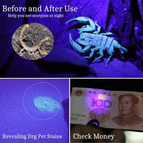 Vista 3 de MODOAO Linterna UV mini de bolsillo negro con LED ultravioleta de 395 NM, 3 modos de detector de linternas de mano para perro/gato/mascota/orina
