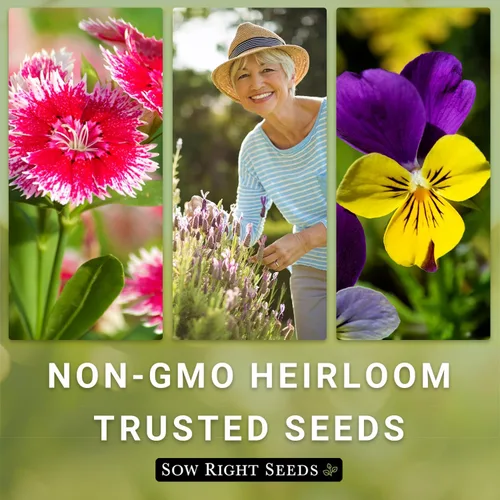 Vista 5 de Sow Right Seeds - Colección de semillas de algodoncillo - Incluye variedades comunes, rosas, vistosas, mariposas - Atrae monarca y otras mariposas a