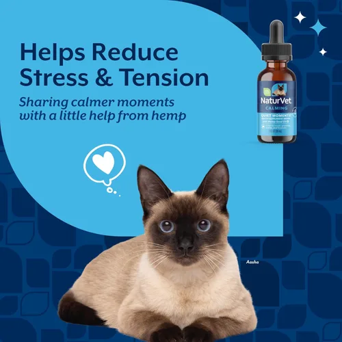 Vista 3 de NaturVet Hemp Quiet Moments - Gotas calmantes para gatos, 1 onza