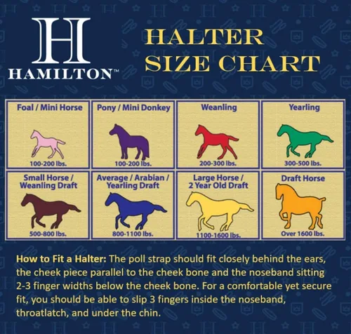 Vista 2 de Hamilton Pet & Equine Hamilton - Caballo ajustable de nailon (3/4 pulgadas), potro, rojo