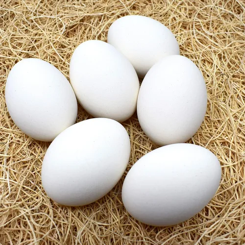 Vista 2 de Huevos de cerámica para nido, paquete de 6 unidades (blanco)