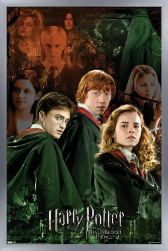 Vista 15 de Trends International Harry Potter y el príncipe mestizo - Póster de pared de collage de trío, 14.725 x 22.375 pulgadas, versión enmarcada de madera