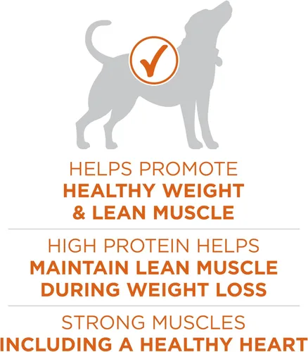 Vista 3 de Purina ONE Plus Healthy Weight - Alimento seco para perros con alto contenido de proteínas, bolsa de 16.5 libras