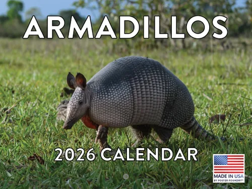 Vista 62 de Calendario de Cocodrilo 2026 Calendario de Pared Mensual 12 Meses Fabricado en Estados Unidos