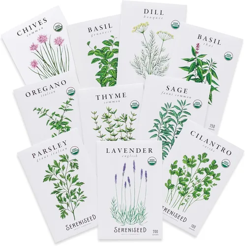 Sereniseed Semillas de hierbas orgánicas certificadas (paquete de 10) – Sin OMG, reliquia – Video de inicio de semillas – Albahaca, cilantro,