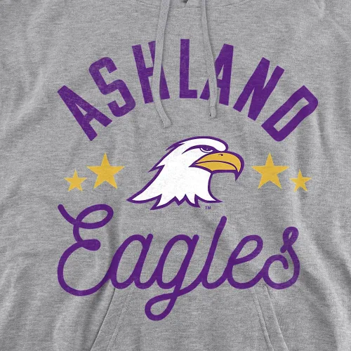 Vista 2 de Logovision Colección oficial de sudadera con capucha para adultos de Collegiate Distressed Mascot, Ashland Eagles
