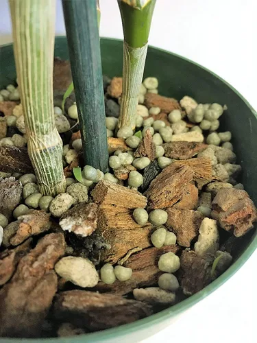 Vista 8 de Nutricote - Alimento para orquídeas de Orchid Nerd, 15 onzas (Orchid Ferlizer) 18-6-8 liberación lenta