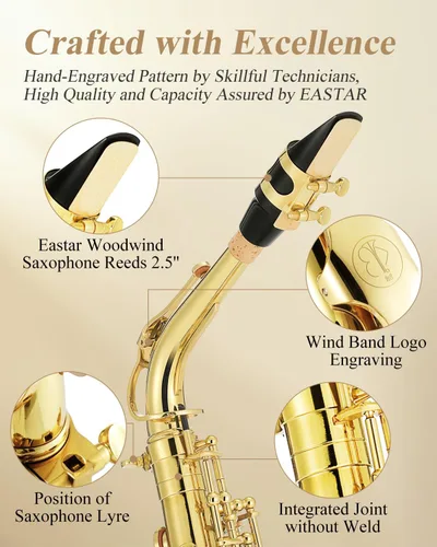 Vista 2 de Saxofón profesional Eastar alto dorado Mi plano Eb con kit de limpieza, estuche de transporte, boquilla, correa para el cuello, lengüetas, soporte