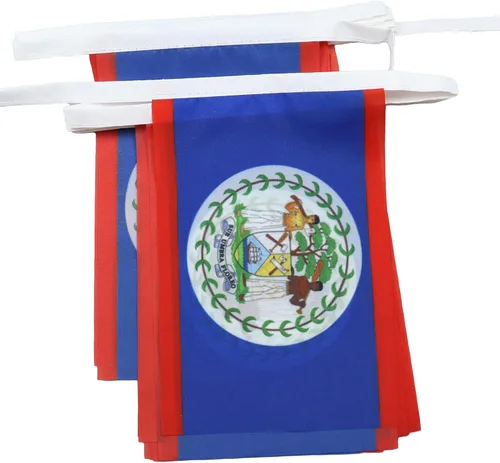 Vista 11 de Guatemala 19.7 ft BUNTING Flag 20 banderas 9'' x 6'' - Banderas de cuerda guatemalteca 5.9 x 8.3 in - AZ FLAG