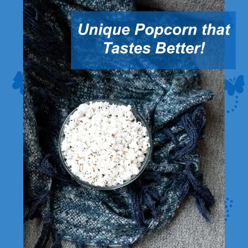 Vista 3 de Black Jewell Gourmet Palomitas de maíz, cinta azul blanca, 28.35 oz (paquete de 1)