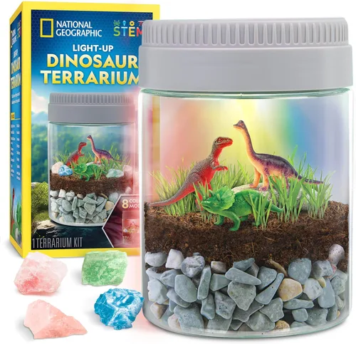 National Geographic - Kit de terrario de dinosaurio para niños, terrario multicolor iluminado, construye un hábitat de dinosaurio con plantas reales