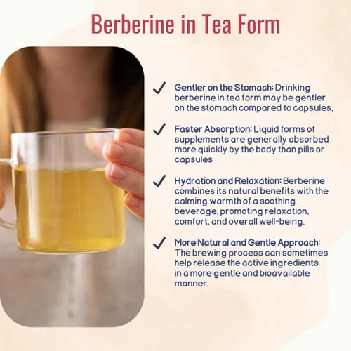 Vista 4 de Té orgánico de berberina - Té de hierbas promueve la salud con canela de Ceilán, menta y manzanilla - 30 bolsas de té