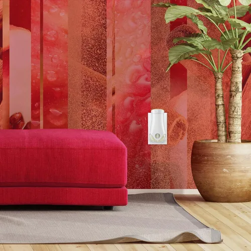 Vista 11 de Glade PlugIns - Repuestos de ambientador, aceites esenciales perfumados para el hogar y el baño, aroma Apple Cinnamon, 3.35 onzas líquidas, 5