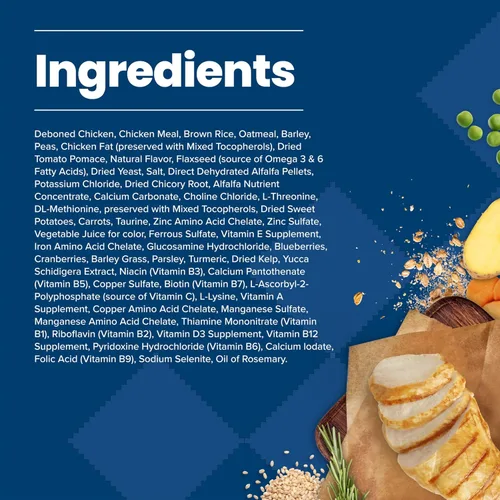 Vista 5 de Blue Buffalo Life Protection Formula - Alimento seco para perros adultos de raza pequeña, con mordiscos pequeños, ayuda a desarrollar y mantener