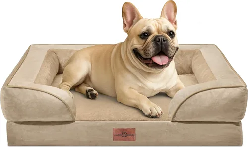 Vista 33 de Comfort Expression - Cama ortopédica para perros medianos de 30x20 pulgadas, cama impermeable de espuma de huevera para mascotas medianas