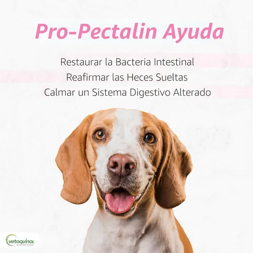 Vista 2 de Vetoquinol Pro-Pectalin Comprimidos masticables para perros y gatos, ayuda a aliviar la diarrea ocasional, alivio de la diarrea situacional