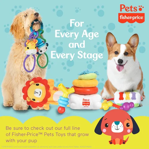 Vista 6 de Fisher-Price Juguete de persecución y lanzamiento para mascotas Attack-A-Stack Juguete de anillo apilable, juguetes multifuncionales, juguetes