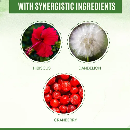 Vista 5 de Cápsulas de D-manosa 100% pura de 1000 mg con extracto de arándano, hibisco y diente de león, fórmula profesional de prevención de infecciones