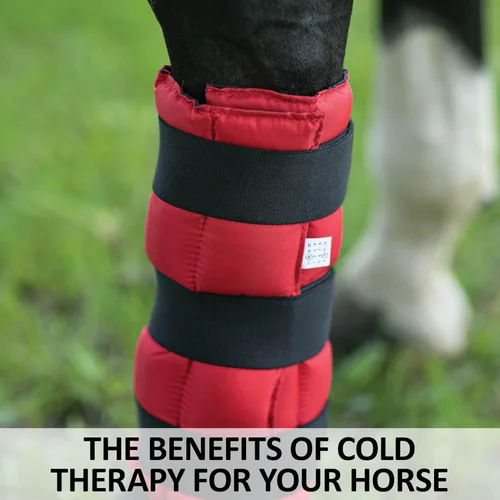 Vista 5 de Dura-Tech Envoltura de gel refrescante para caballos Terapia instantánea de frío Se adapta a ponis, caballos y corrientes de aire Exterior