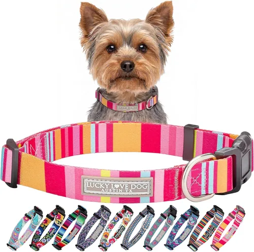 Vista 81 de Lucky Love Dog - Collar para perras pequeñas, diseño Blackbird de estampado alegre con flores de primavera y verano, talla XS Collar Blackbird