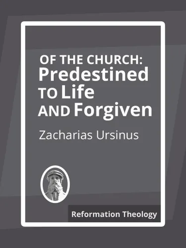 Of The Church Predestined to Life and Forgiveness