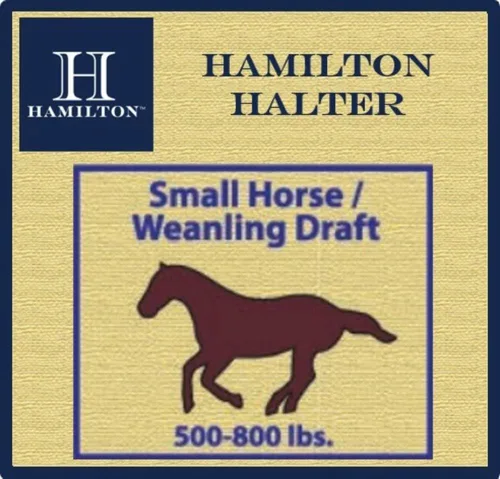 Vista 3 de Hamilton Cabestro de caballo de calidad ajustable de nailon de 1 pulgada con barbilla ajustable, tamaño pequeño