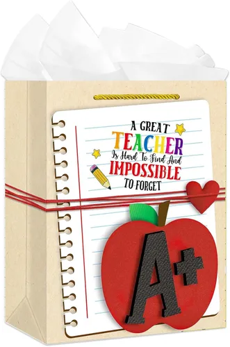 D4DREAM Bolsas de regalo de agradecimiento para profesores, bolsa de regalo de agradecimiento para profesores de 11.5 pulgadas con asas y papel de