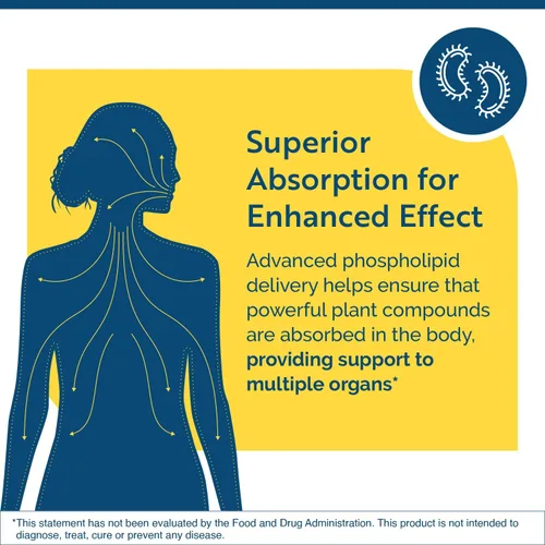 Vista 3 de Researched Nutritionals Elim-A-Cand - Candida Support - Suplementos microbianos e intestinales para la salud con berberina, olmo resbaladizo