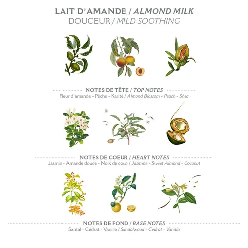 Vista 3 de Panier des Sens - Jabón en barra de manteca de karité con leche de almendras 2 x 7 oz/200 g - Barras de jabón hidratantes para manos y cuerpo