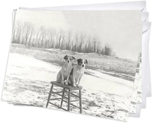 Vista 16 de Wright Home & Gift Bouquet Funeral - Tarjetas de felicitación de condolencia Juego de 2 unidades + 2 sobres (5 x 7)