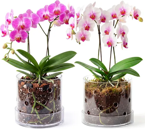 Vista 9 de Maceta de orquídea acrílica transparente de 5 pulgadas con agujeros