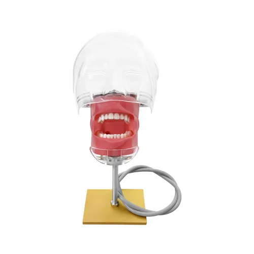 Vista 10 de Máscara de silicona para práctica de modelo dental, modelo de dientes YOUYA DENTAL para simulación de entrenamiento de técnicos dentales, modelos