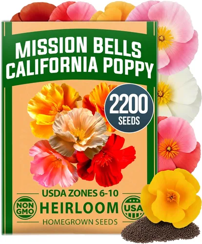 Vista 107 de Bóveda de 10 semillas de hierbas culinarias - Semillas criollas y sin transgénicos – Más de 3000 semillas para plantar en jardín de hierbas exterior