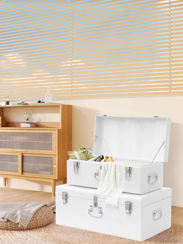 Vista 109 de Vixdonos Juego de 2 baúles decorativos de almacenamiento de caja de metal con asa (blanco con cierres de bronce)