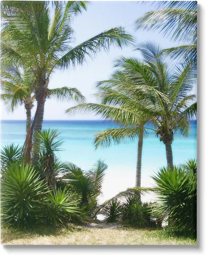 Stupell Industries Lienzo decorativo para pared con palmeras cerca de la playa de Noah Bay