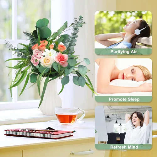 Vista 6 de 12 tallos de hojas de eucalipto secas reales mixtas, ramas de plantas preservadas, eucalipto de dólar plateado, ramos de eucalipto con semillas