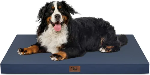 Vista 121 de Cama para perros y gatos pequeños, impermeable, para jaula de huevos, espuma ortopédica con funda Oxford lavable y extraíble, color verde Amy