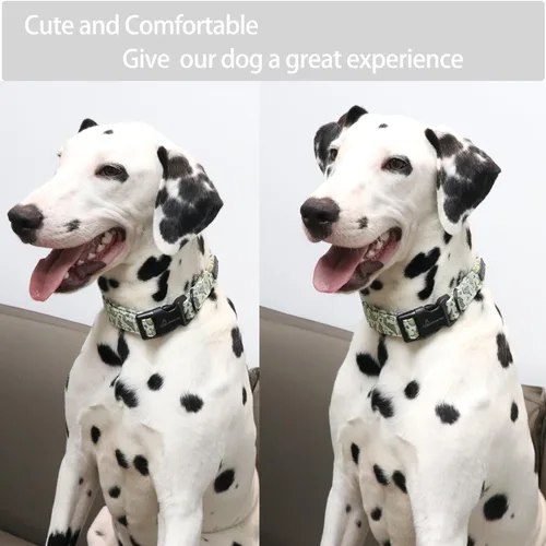 Vista 180 de Aring Pet Collar de algodón, ligero y ajustable, con hebilla de liberación rápida para perros pequeños, medianos y grandes, para cachorros, XS