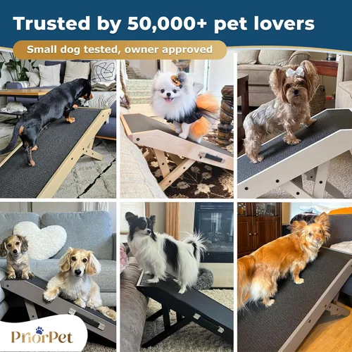 Vista 8 de Rampa para perros para sofá, antideslizante, resistente, plegable, soporta hasta 200 libras, ajustable de 7 a 20 pulgadas, plataforma de aterrizaje